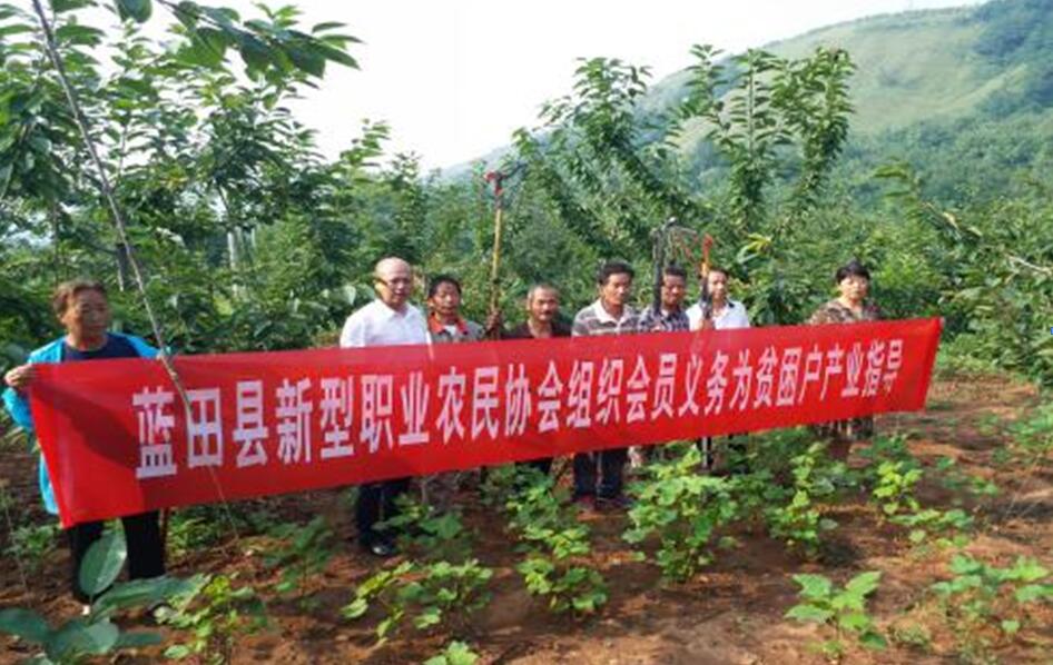 扶贫事情动态（第四十六期）